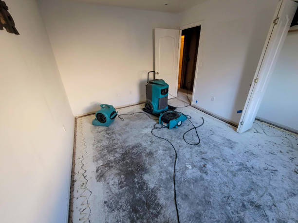 Best Professional water damage repair  in Grass Valley, CA