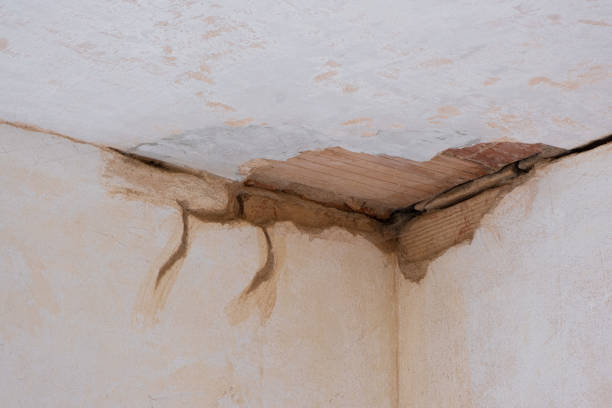 Best 24/7 water damage repair  in Grass Valley, CA
