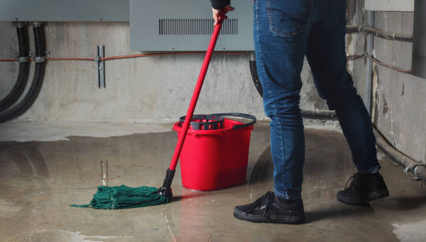 Best Water damage cleanup near me  in Grass Valley, CA