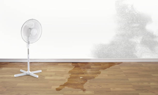 Local water damage restoration in Grass Valley, CA