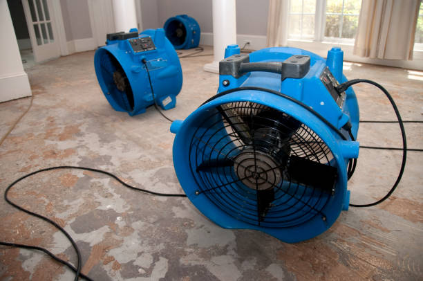 Best 24-hour water damage restoration  in Grass Valley, CA