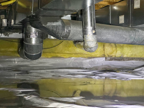 Best Mold removal after water damage  in Grass Valley, CA