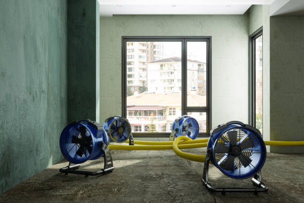 Best Water damage contractors near me  in Grass Valley, CA