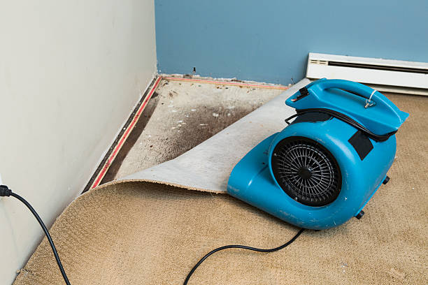 Best Fire Damage Restoration  in Grass Valley, CA
